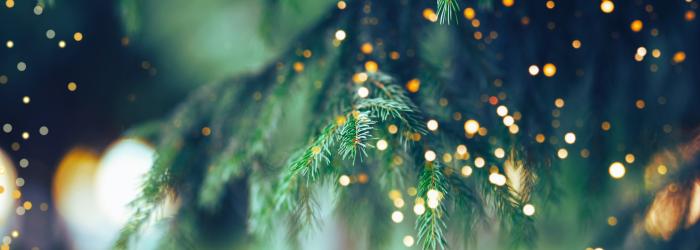 Avoid Debit Card Fraud