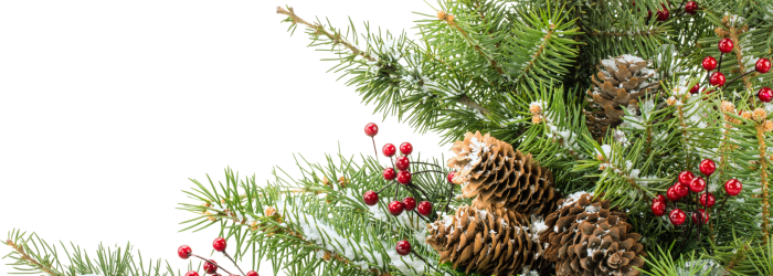 Smart Holiday Spending - Security Bank USA in Bemidji 