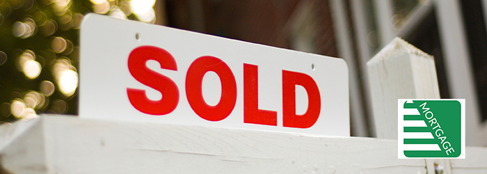 Essential Factors to Consider Before Making a Purchase