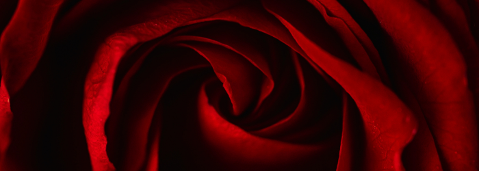 Security Bank USA Romance Scams 