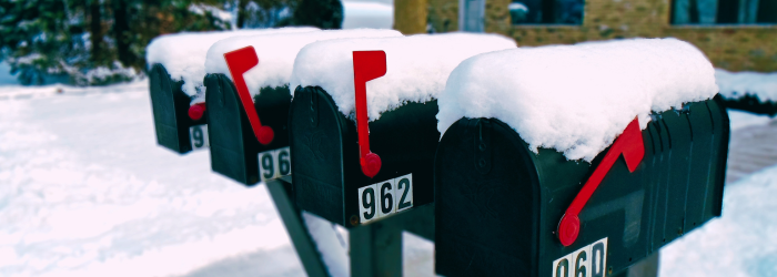 Mail Fraud