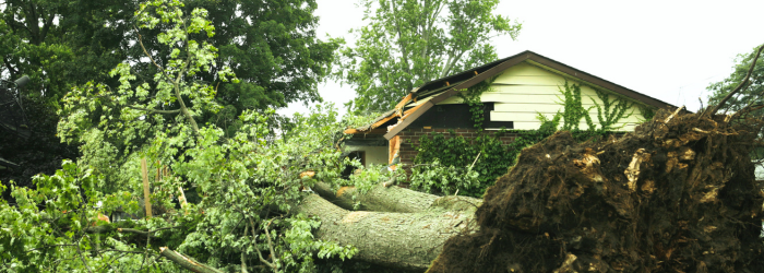 Storm Recovery in Bemidji