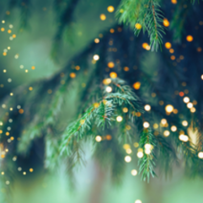 Debit Card Fraud Prevention 