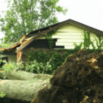 Storm Recovery in Bemidji