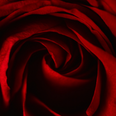 Security Bank USA Romance Scams 