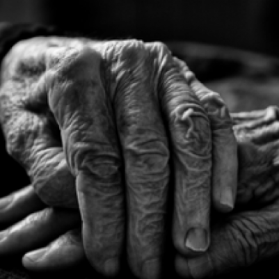 Prevent Elder Abuse